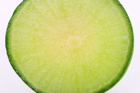 The turnip isolated on a white backgroundの写真素材