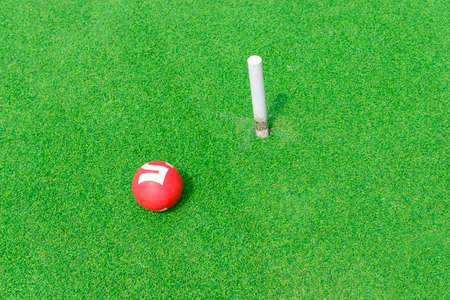 Gateball