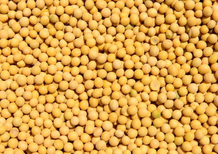 yellow beans