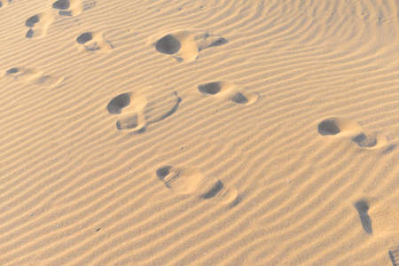 The beach