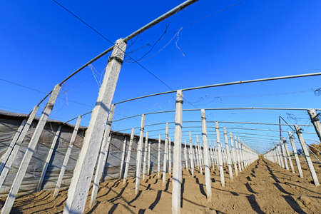 Greenhouses is under constructionの写真素材