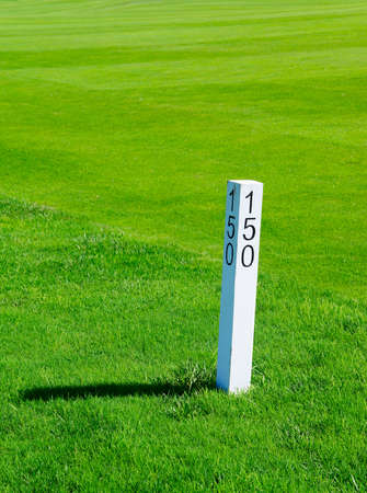 Playing golf on the grassの写真素材