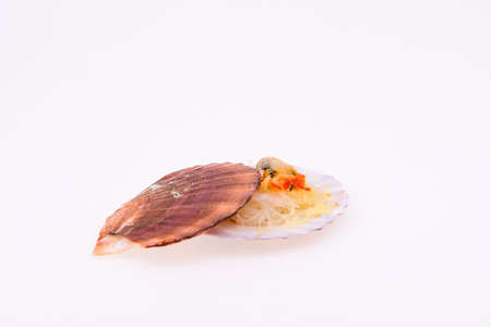Scallops on a white background 