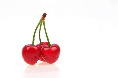 Fresh cherries on a white background の写真素材