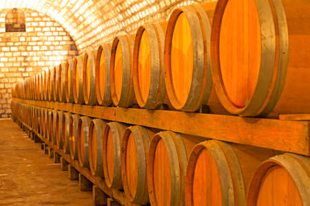 Wine cellar 