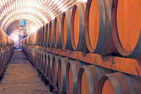 Wine cellar の写真素材