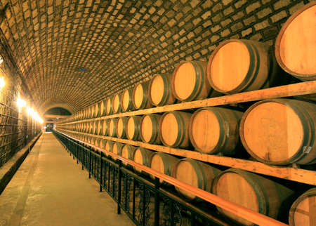 Wine cellar のeditorial素材