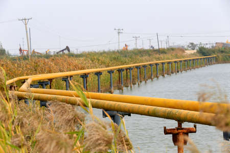 Oil pipelines, in oil fieldsの写真素材