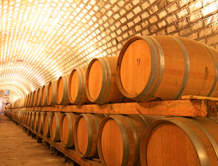 Many barrels are placed in the wine cellar 