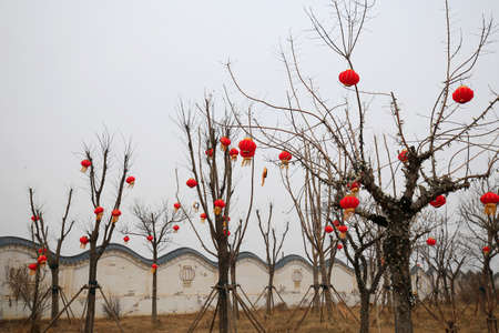 Hanging red lanternsの写真素材