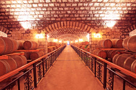 Many barrels are placed in the wine cellar 
のeditorial素材