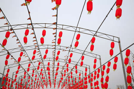 Hanging red lanternsの写真素材