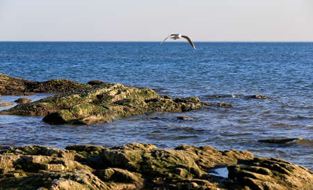 The seaside scenery in winterの写真素材