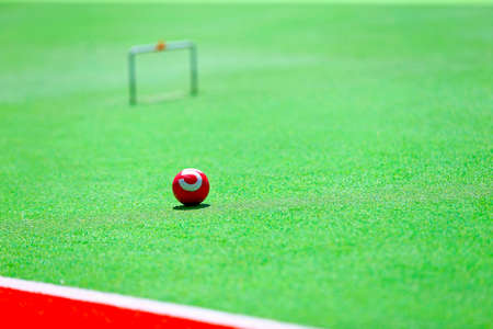 gateball,in the outdoor parkの写真素材