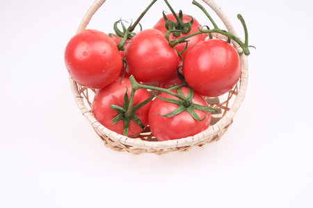 Tomatoes are in the basket, on the white backgroundの写真素材