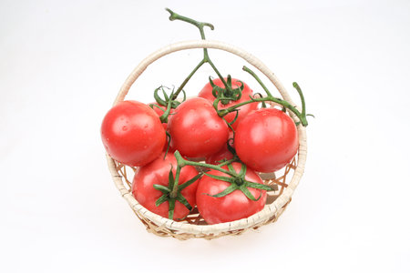Tomatoes are in the basket, on the white backgroundの写真素材