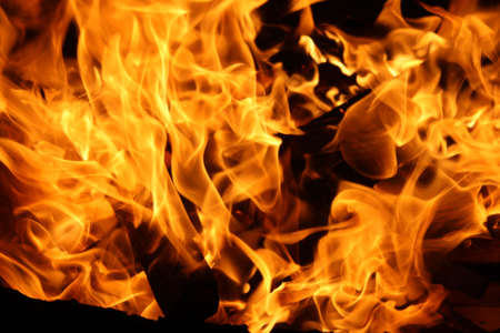 Burning fireの写真素材