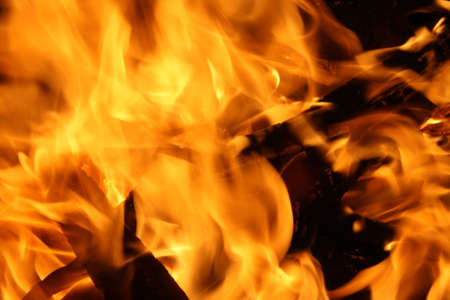 Tongues of flame