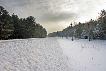 Winter road to wood with the roadside filled up by snowの写真素材
