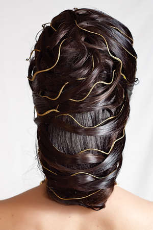 High hairdress the rear viewの写真素材