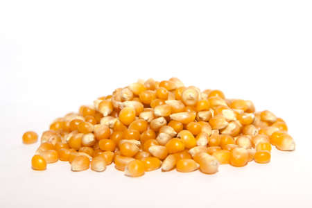 Pile dried corn isolated on white background 