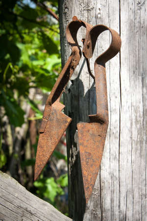 Old rusty retro clippersの写真素材
