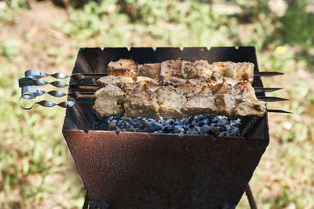 Fried kebab on skewers over charcoalの写真素材