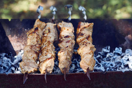 Shish kebab on skewers on the grillの写真素材