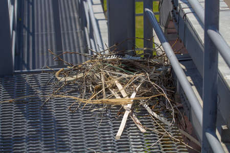 The nest of twigs and wire the industrial zoneの写真素材