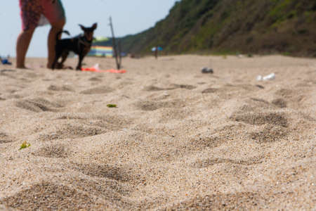 Beach sand near and people with dog on the backgroundの写真素材