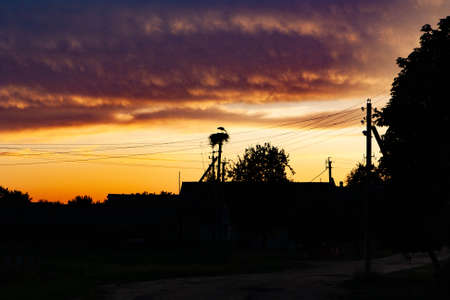 Storks nest on the background of a red sunsetの写真素材