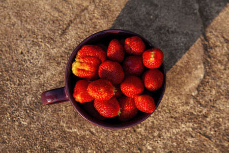Concept of summer food with a strawberry on a concrete background.の写真素材