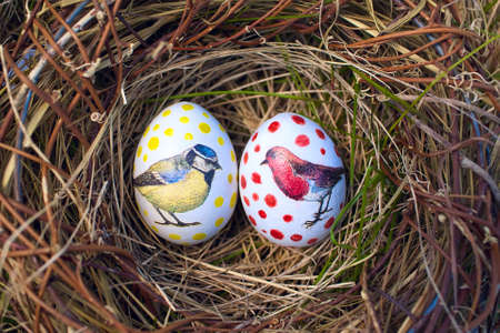 easter eggs in the nest, chickadee and bullfinch の写真素材