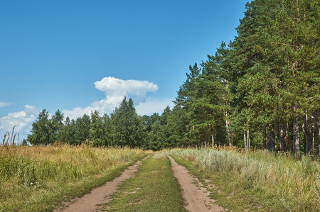 A summer landscape with a dirt country road running along the edge of the forestの写真素材