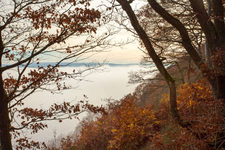 Autumn foggy landscape in the Moselle Valley