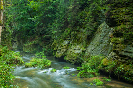 Kamnitz Gorge landscape Bohemian Switzerland Hrensko czech republicの写真素材