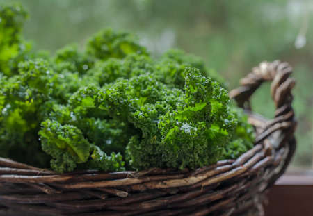 Kale green cabbage in rustic basket on Windows lightの写真素材