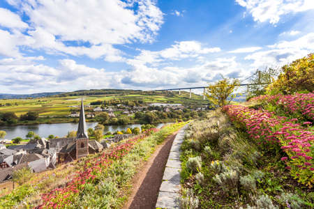 Moselle hiking trails landscape through the Wine village Uerzig Germany