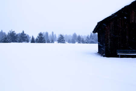 snowy and foggy wooden cabin  and firs landscapeの写真素材
