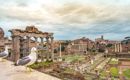 the Roman  Forum ruins archaeological museum Education Architecture Art History Rome Italy the Eternal Cityの写真素材