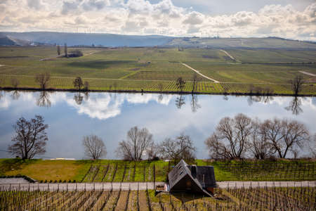 Moselle countryside vineyards Landscape at Spring Germany  Mosel Wine and riverの写真素材