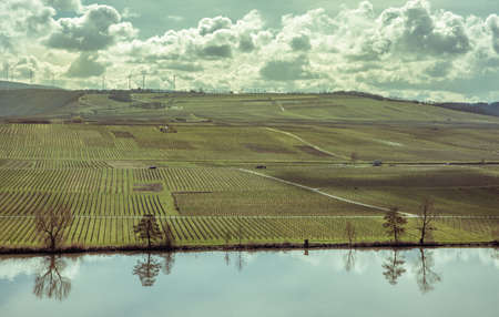 Moselle countryside vineyards Landscape at Spring Germany  Mosel Wine and river