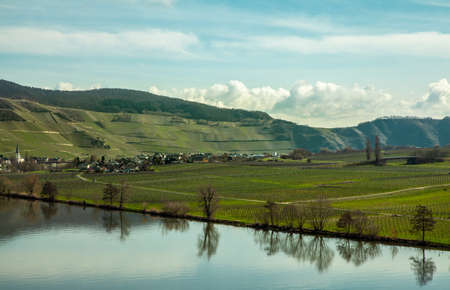 Moselle countryside vineyards Landscape at Spring Germany  Mosel Wine and riverの写真素材