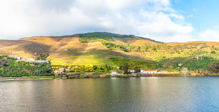 Douro Valley riverside vineyards terraces Landscape Portugal