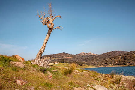 Alqueva dam lake Landscape in Alentejo and view of the hill Village Monsaraz Portugalの写真素材