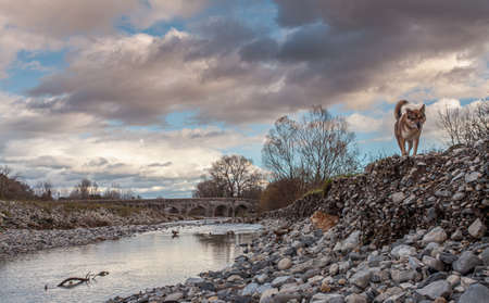River Escoutay and Pont Romain Landscape  in Viviers France Provenceの写真素材