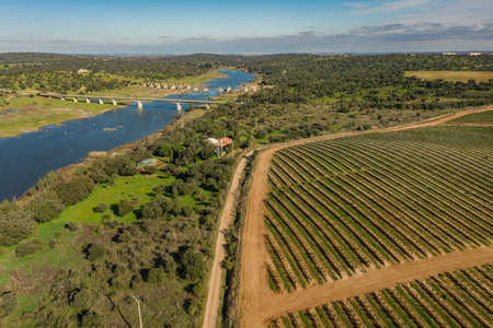 Aerial view of the industrial griculture landscape and the river Guadiana in Olivenza Extremadura Spainのeditorial素材