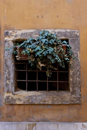 Verona  IT  - Typical Italia Renaissence Window, decoration の写真素材