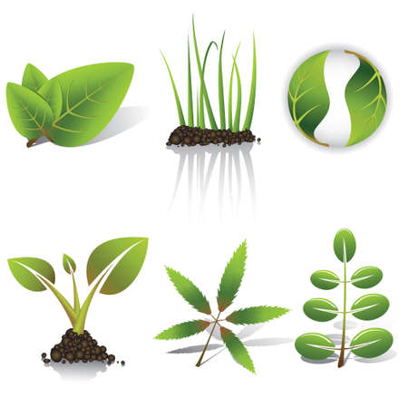 Green leavesのイラスト素材