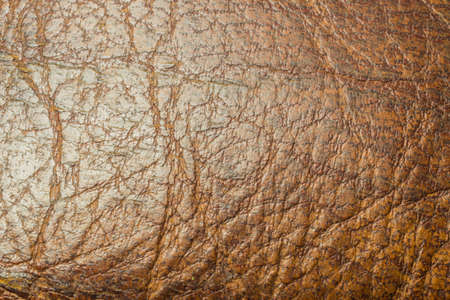 Textureの写真素材